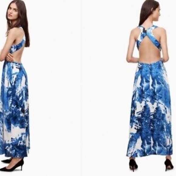 Aritzia Taluka Peekaboo Print Maxi Dress - Picture 4 of 5